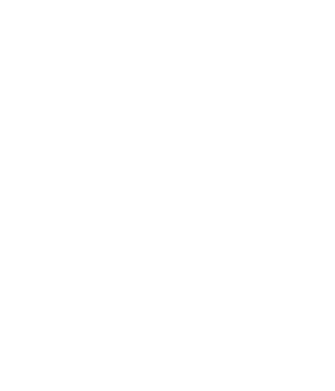 BTB Path 2 Pro